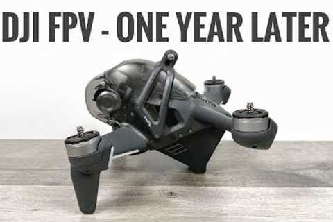 DJI FPV Drone One Year Later - Long Term Review