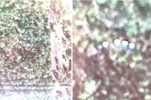 This Drone Accidentally Made A Mysterious Discovery After Spotting This Above The Amazon Jungle