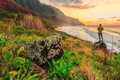 Diving in Oahu: The Most Impressive Dive Sites To Experience