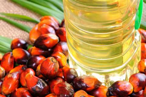 It’s time to rethink palm oil, says watchdog
