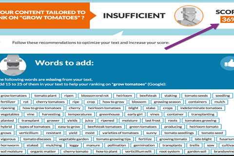 How to Use Long-Tail Keywords in Your SEO Strategy