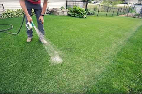 How To Fix DRY SPOTS In The Lawn