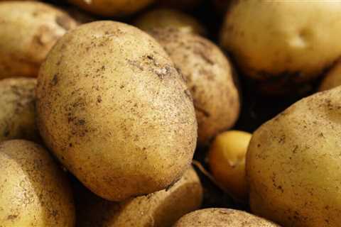 How To Grow Potatoes