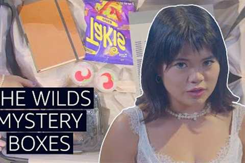 Guessing Scenes From The Wilds | Unbox The Plot | Prime Video
