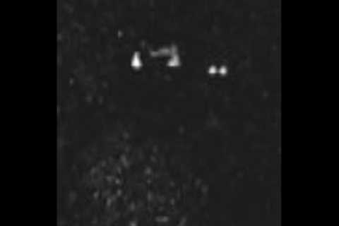 Sasquatch Short - Yes, I did put a Trail Camera in my back yard
