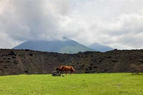 Finca el Amate, Guatemala: Hiking an Old Lava Trail on a Volcanic Farm