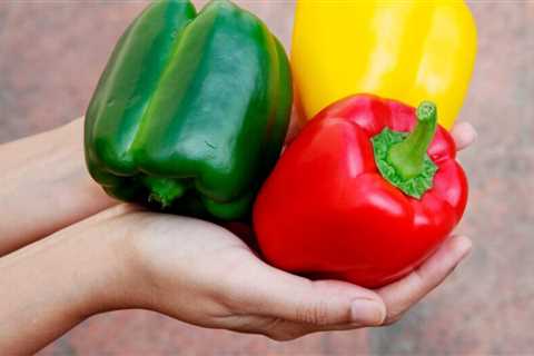 How To Grow Bell Peppers