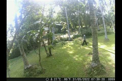Trail Game Cameras in the Back Paddock, LOOK at what we found, Smile your on camera