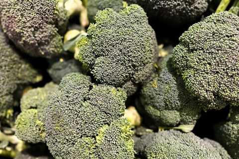 How To Grow Broccoli in Your Garden