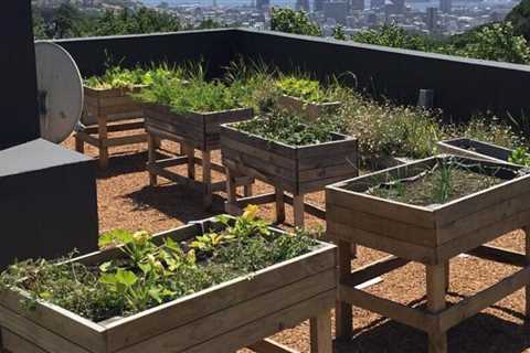 11 Vegetable Garden Ideas