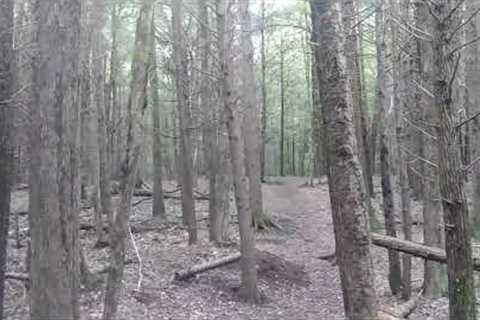 This hike turned scary fast
