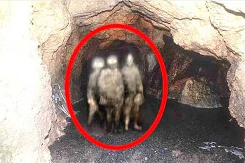 Scientists Have Just Revealed That Artificial Intelligence Has Found An Unknown Lost Ancestor