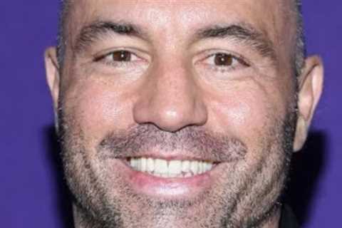 Joe Rogan Has A Surprising Pick For Johnny Depp's Next Romantic Partner