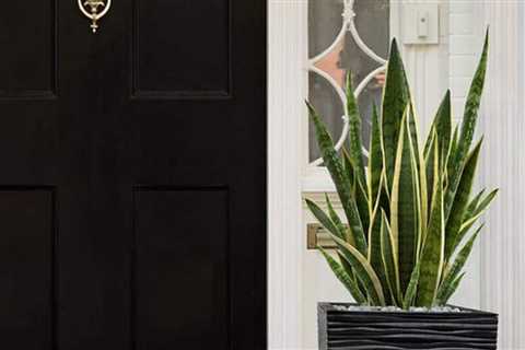 10 Best Outdoor Plant Pots for Your Garden