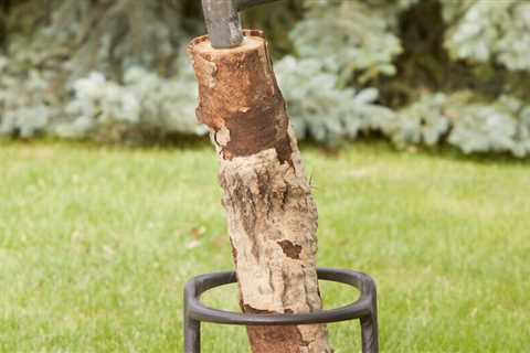 This Amazing Family Handyman Approved Log Splitter Is All It’s Cracked Up to Be and More!
