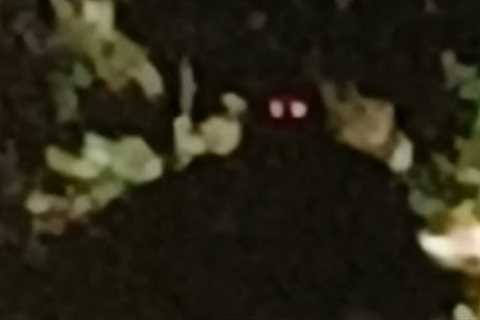 Worst Nightmare Camping Photo Capture Included
