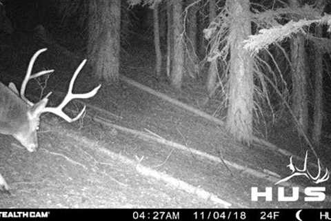 CHECKING TRAIL CAMERAS AFTER BEING UP ALL WINTER