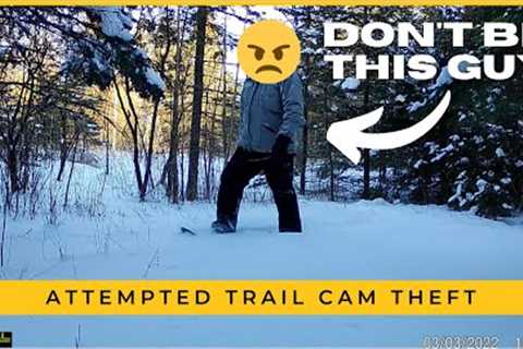 Trail Cam Thief Caught in the Act 🤬