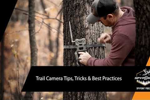 Trail Camera Tips, Tricks &amp; Best Practices | The SPYPOINT Podcast | SPYPOINT