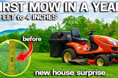 First Mow at Our NEW House - Old Owner's Didn't Care