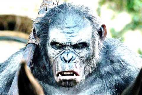 Scientists Just Announced That Chimpanzees &amp; Gorillas Have Been Seen Going To War For The First ..