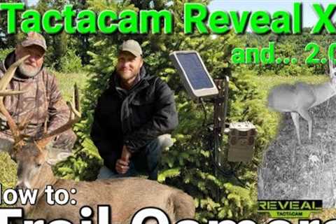 Trail Camera Strategies for a Successful Whitetail Season
