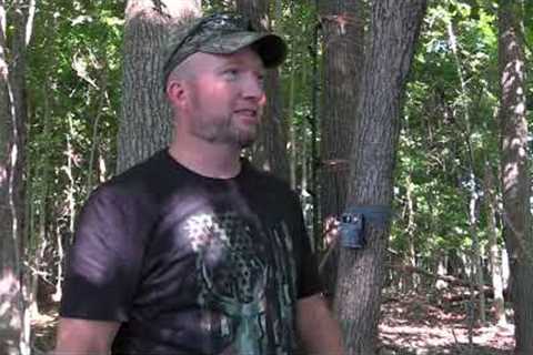 Deer season prep begins! | SpyPoint cell link