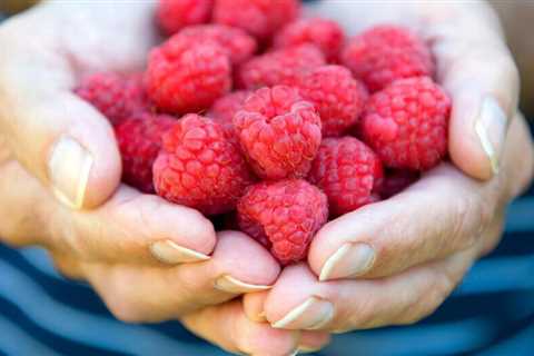 How To Grow Raspberries