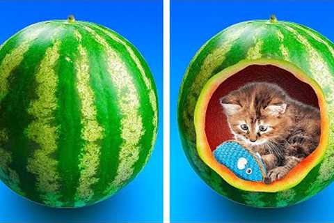 34 Simple Crafts For Your Lovely Pets