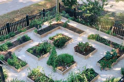 10 Vegetable Garden Design Ideas