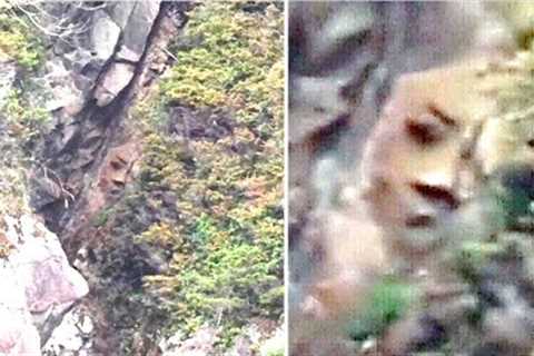 This Man Accidentally Discovered This Massive Carved Face Inside An Old Cliff In This National Park