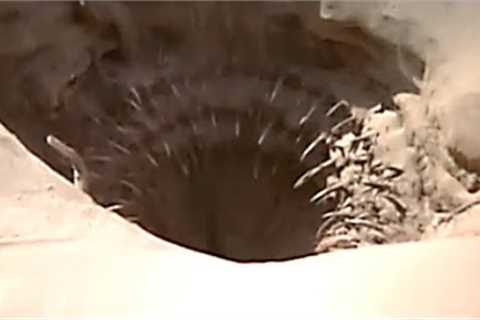 Scientists Just Announced They Discovered A Hidden Cave That's Been Sealed Off For Millions Of Years