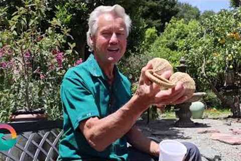 Jim Greiner shows us how to drum with common household items | Community Voices