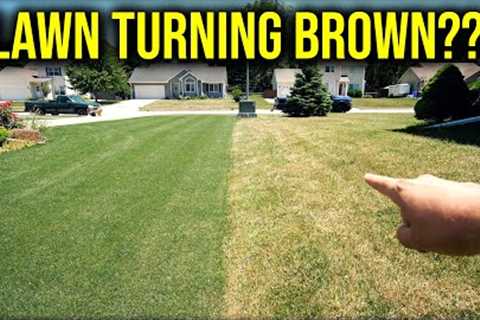 My Lawn Is Turning Yellow or Brown?? NOW WHAT??