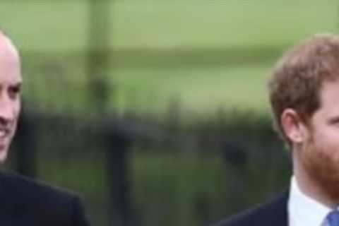 Prince Harry’s Biographer Blasts Prince William For Leaks About Supposed Troubled Relationship With ..