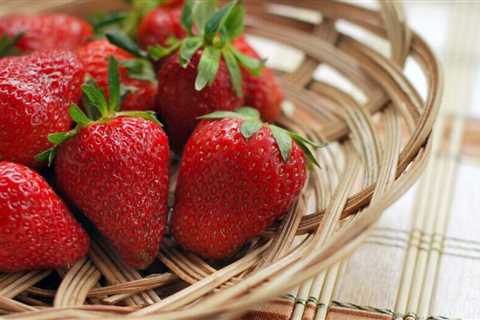Can Bearded Dragons Eat Strawberries?