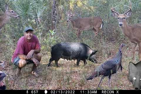 Tim Harrell - Browning Recon Force Trail Camera Pickup