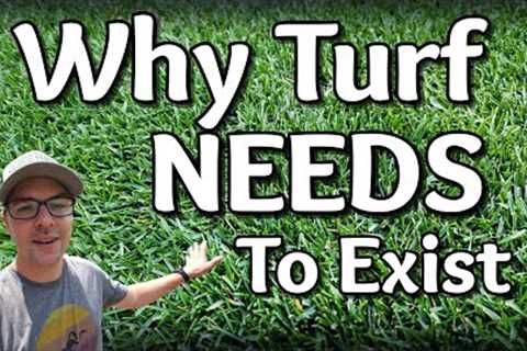 Do Lawns NEED To Exist? Here's The Research on Drought and Water Conservation Efforts