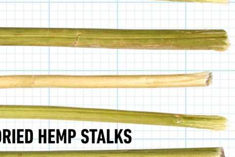 What to Know About Hemp Building Products