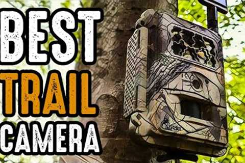 5 Best Trail Camera for Wildlife Monitoring