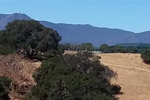 Bike and Hike To Coyote Peak