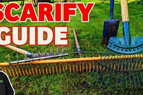How to scarify a lawn | EVERYTHING you need to get it RIGHT | Lawn care for beginners