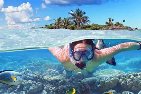 Top 7 Best Attractions in Key West You Can’t-Miss