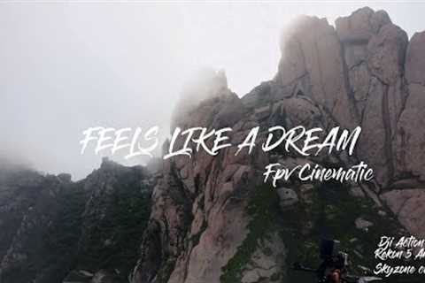 Feels like a dream  Fpv drone cinematic|Dji Action 2| Rekon 5 Analog | Fog