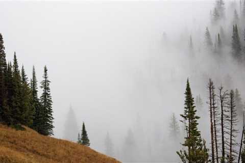 Things to Pack for a Trip to Jackson Hole, Wyoming