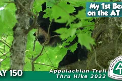 AT Thru Hike Day 150 - My First Bear On Trail!!