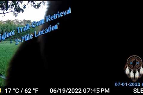 BIGFOOT TRAIL-CAM RETRIEVAL, NEW STRUCTURES AND MANY WOOD-KNOCKS , I THINK WE WERE BEING FOLLOWED!