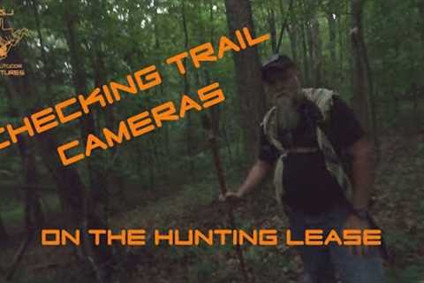 On The Lease Checking Cameras