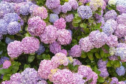 16 Common Gardening Terms You Should Know