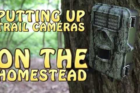 Putting Up A Couple Trail Cameras At The Homestead